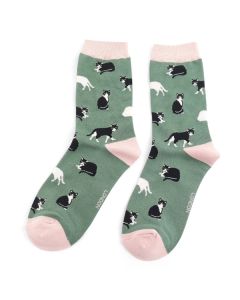 Black & White Cats Socks