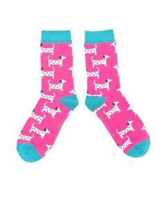 Lovely Dogs Socks
